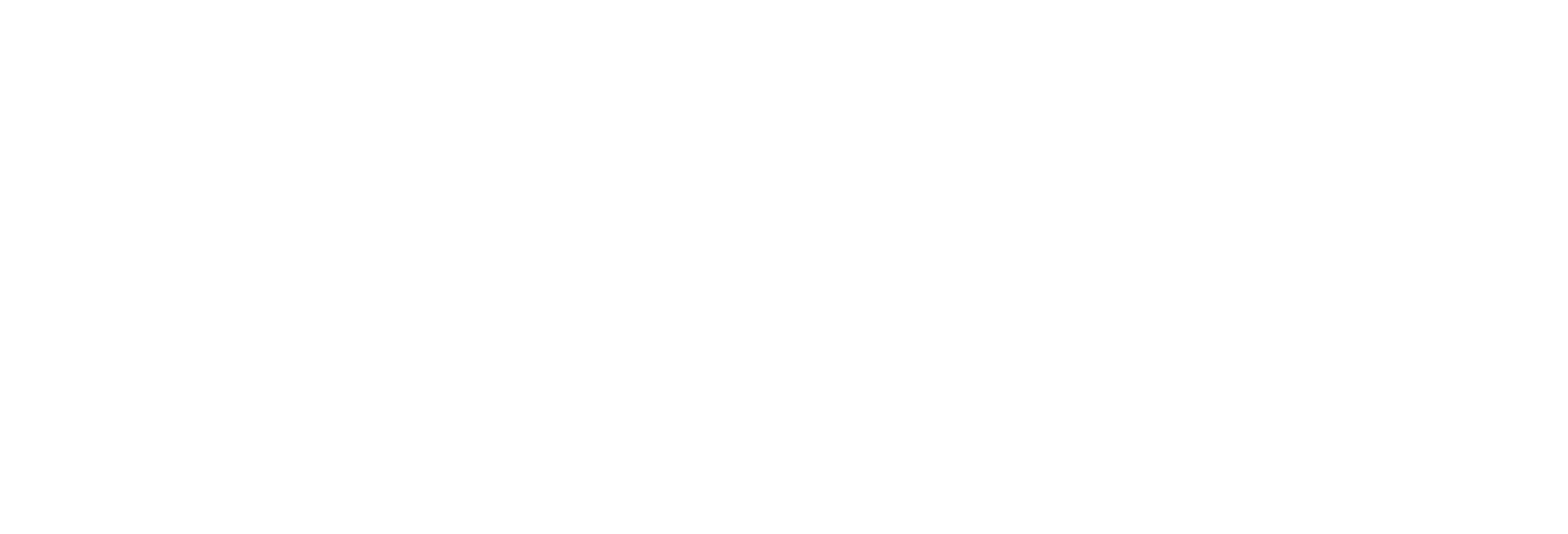 hiscamp 독일 이민 정착 & 비즈니스 컨설팅